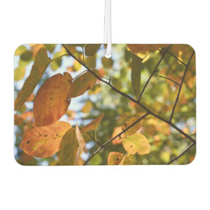Autumn in New York Fall Leaves Riverside Park NYC Car Air Freshener