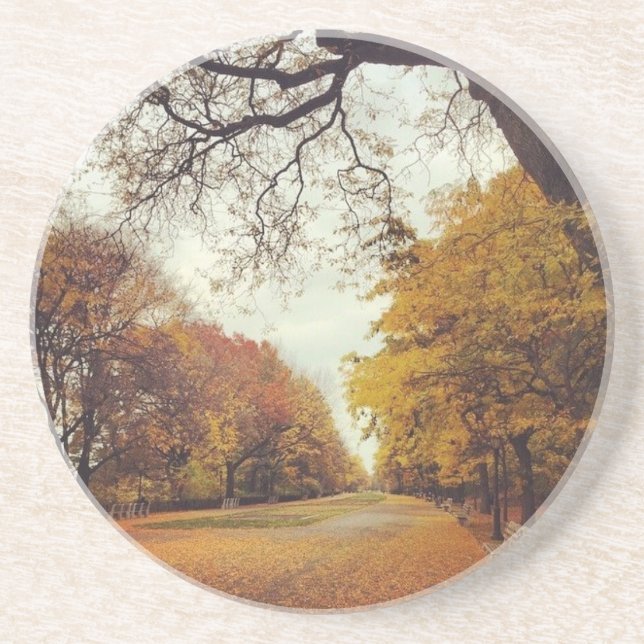 Autumn in New York Fall Leaves Riverside Park NYC Coaster (Front)