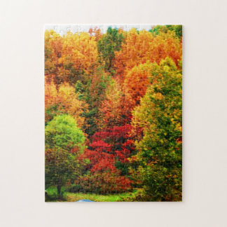 AUTUMN IN NEW YORK STATE puzzle