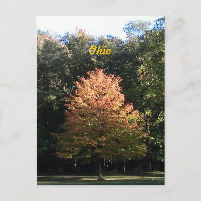 Autumn in Ohio Postcard (Front)