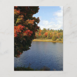 Autumn in Ontario, Canada Postcard
