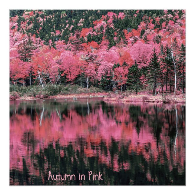 Autumn in Pink Photo Print (Front)