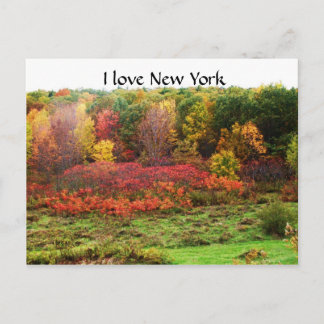 AUTUMN IN RURAL NEW YORK POSTCARD