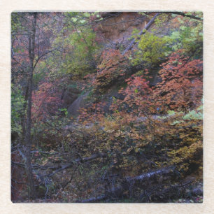 Autumn in Sedona Glass Coaster
