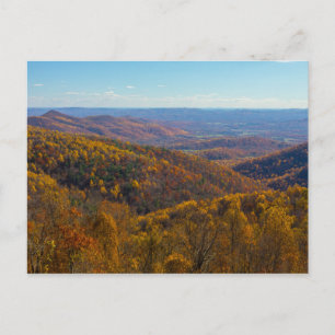 Autumn in Shenandoah National Park, Virginia Postcard