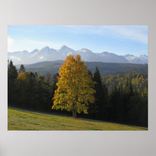 Autumn in Tatras Poster