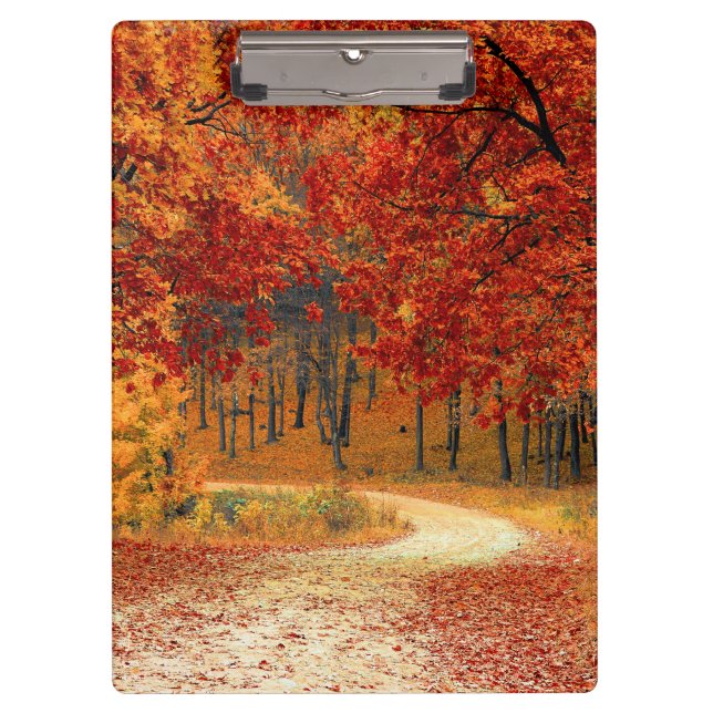 autumn in the forest clipboard (Front)
