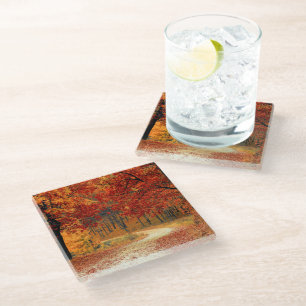 autumn in the forest glass coaster