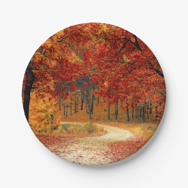 autumn in the forest paper plate (Front)