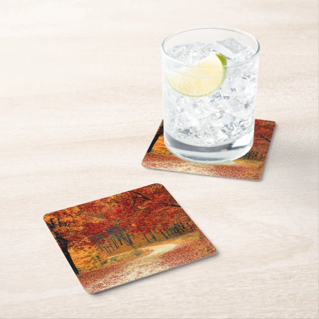 autumn in the forest square paper coaster (Insitu)