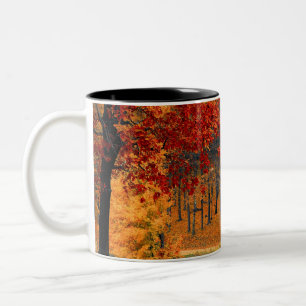 autumn in the forest Two-Tone coffee mug