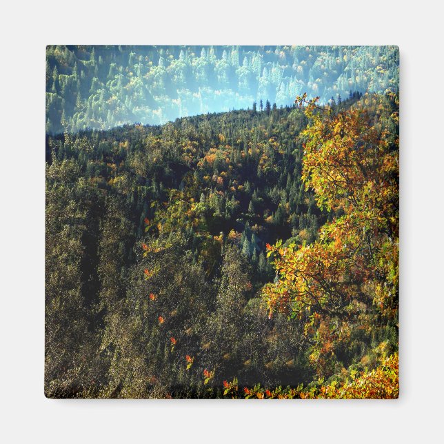 Autumn in the mountains.... magnet (Front)