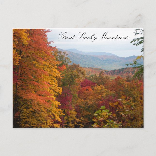 Autumn in the Mountains Postcard (Front)