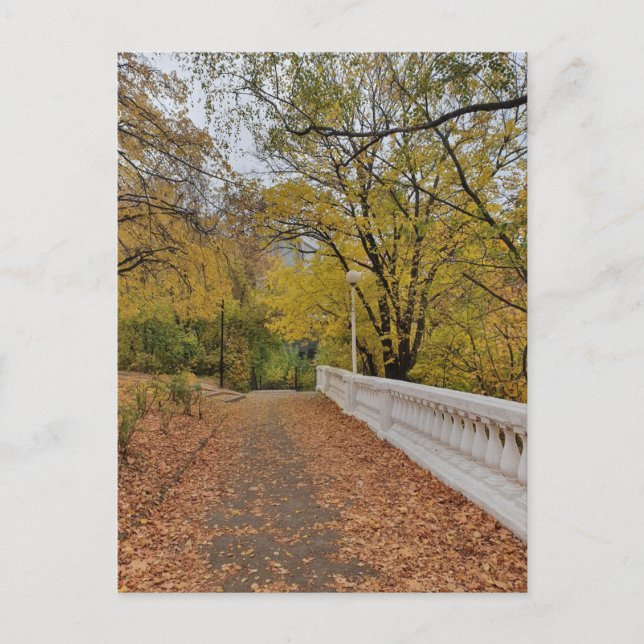 Autumn in the old park. Postcard (Front)