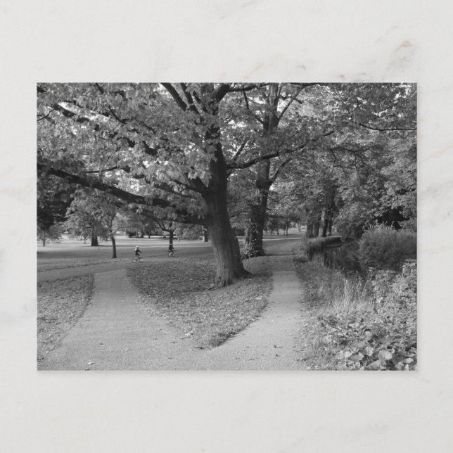 Autumn in the Park - Black and White Postcard (Front)