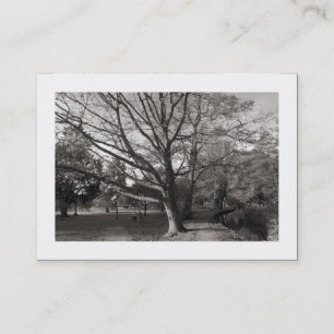 Autumn in the Park (Bordered) Business Card
