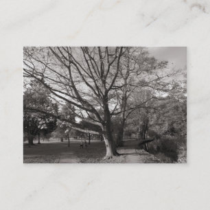 Autumn in the Park Business Card