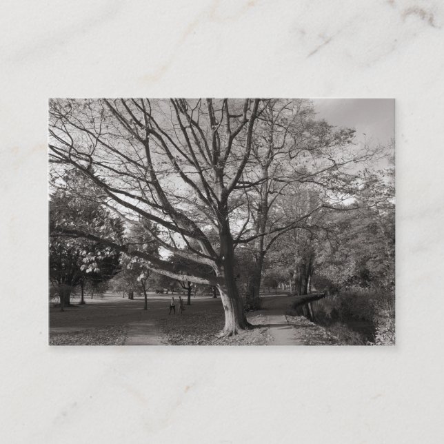 Autumn in the Park Business Card (Front)