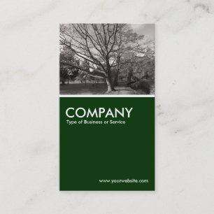 Autumn in the Park - Dark Green Business Card