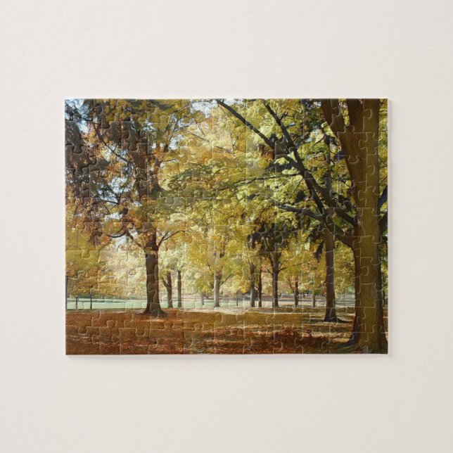 Autumn in the park jigsaw puzzle (Horizontal)