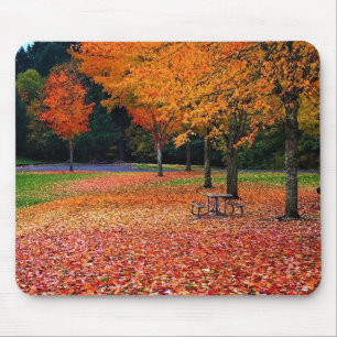 Autumn in the Park Mouse Pad