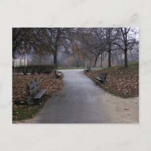 Autumn in the Park Postcard