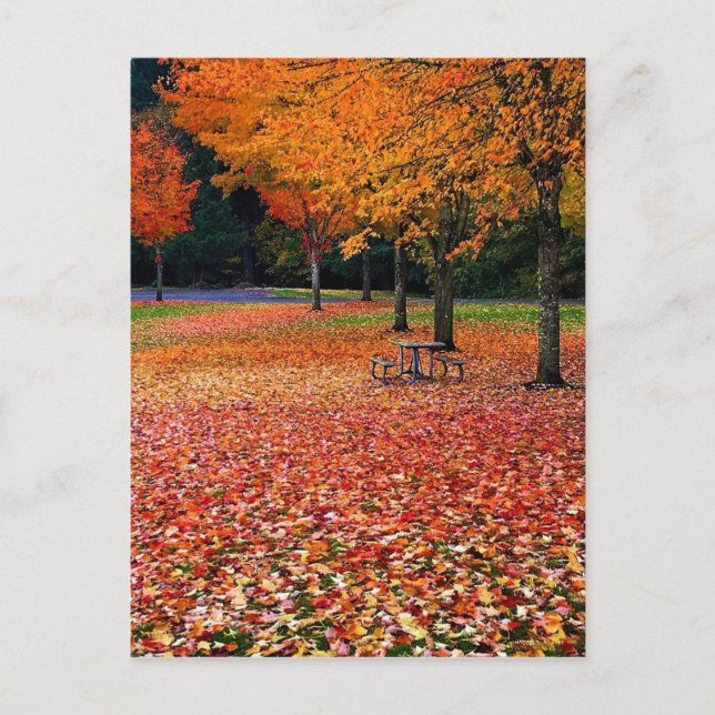Autumn in the Park Postcard (Front)