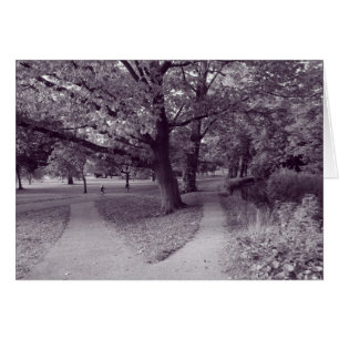 Autumn in the Park - Purple Toned BW