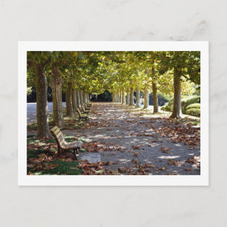 Autumn in the Park: Tokyo Postcard