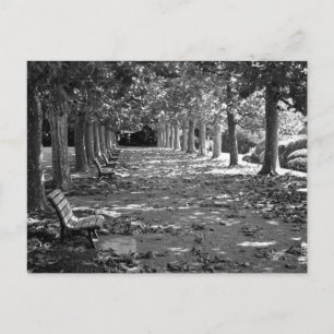 Autumn in the Park: Tokyo Postcard