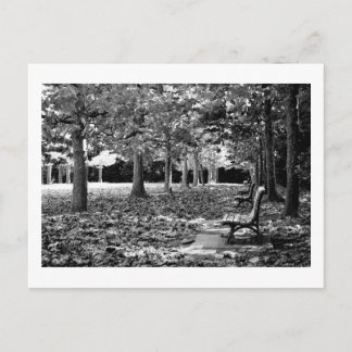 Autumn in the Park: Tokyo Postcard