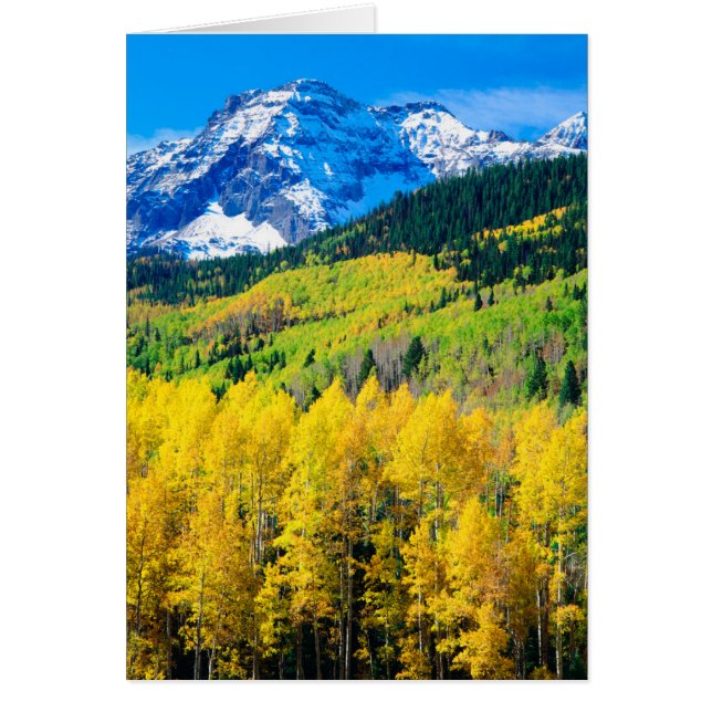 Autumn in the Rockies (Front)