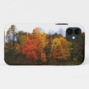 Autumn in West Bend, Wisconsin Case-Mate iPhone Case