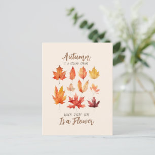 Autumn is a Second Spring – Fall Leaves Postcard