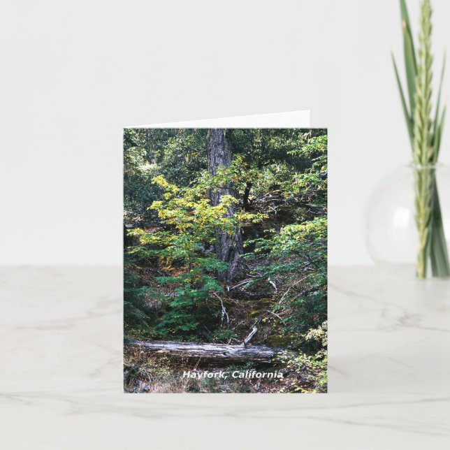 Autumn is here....... card (Front)