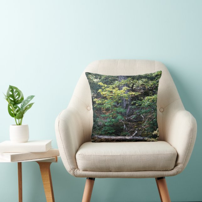 Autumn is here...... cushion (Chair)