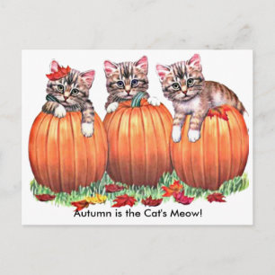 Autumn is the Cat's Meow Postcard