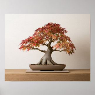 Autumn Japanese Maple Bonsai Art Print | Wall Art