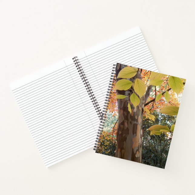 Autumn Japanese Stewartia Tree Floral Notebook (Inside)