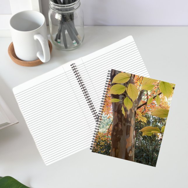 Autumn Japanese Stewartia Tree Floral Notebook (In Situ)