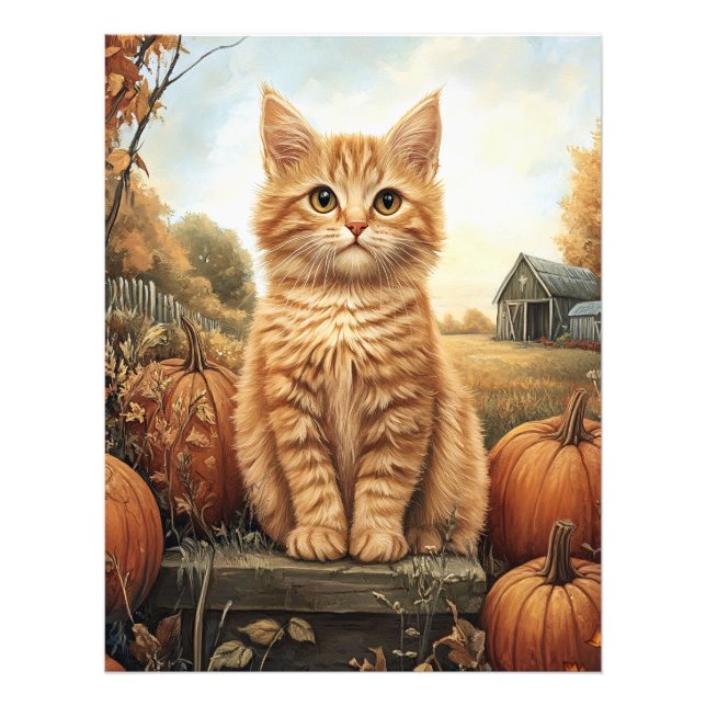 Autumn Kitten with Pumpkins Photo Print (Front)