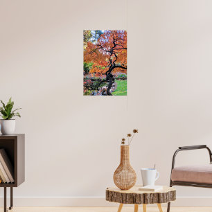 Autumn Laceleaf Japanese Maple Tree Botanical Poster