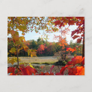 Autumn Lake Framed Postcard