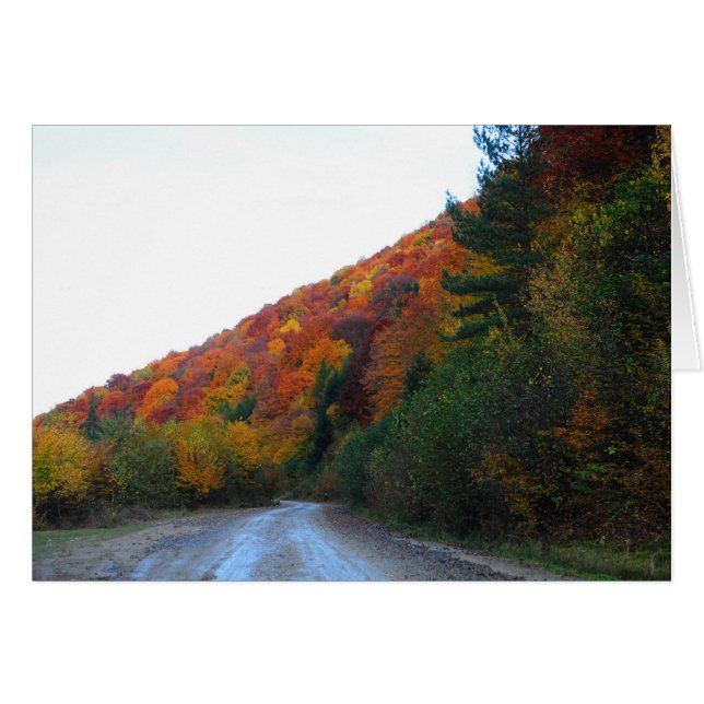 Autumn landscape (Front Horizontal)