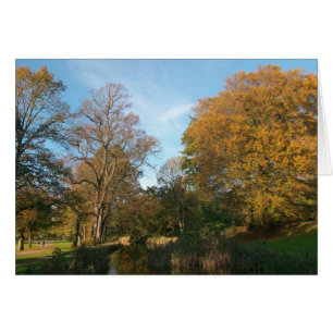 Autumn Landscape, Bute Park, Cardiff