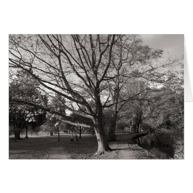 Autumn Landscape, Bute Park, Cardiff (Front Horizontal)