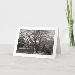 Autumn Landscape, Bute Park, Cardiff (bordered) Card