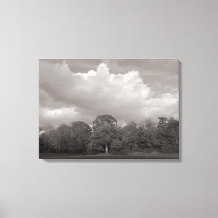 Autumn Landscape Bute Park Cardiff Canvas Print