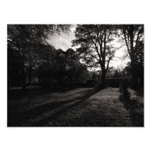 Autumn Landscape Bute Park Cardiff Photo Print