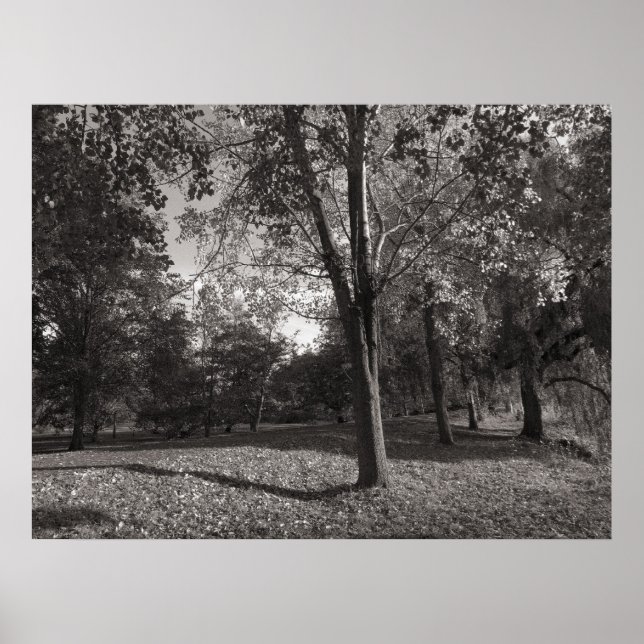 Autumn Landscape Bute Park Cardiff Poster (Front)